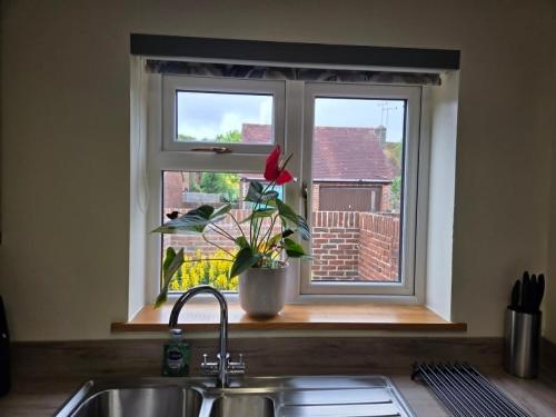 a kitchen window with a potted plant on a counter at 3 bed house in Winterbourne Abbas in Winterborne Abbas