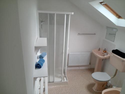 a bathroom with a shower and a toilet and a sink at Comfy Home in Castlebar