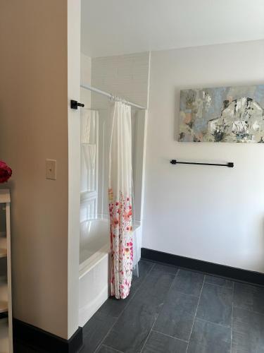 a bathroom with a shower curtain and a tub at Old Furnace Inn in Harrisonburg