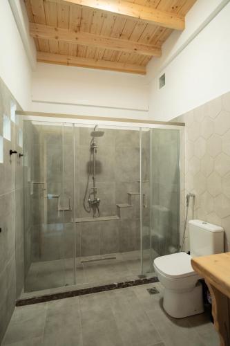 a bathroom with a glass shower with a toilet at Sage Suite in Paránimfoi