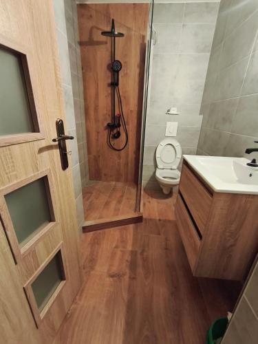 a bathroom with a shower with a toilet and a sink at Central Apartman Tatabánya in Tatabánya