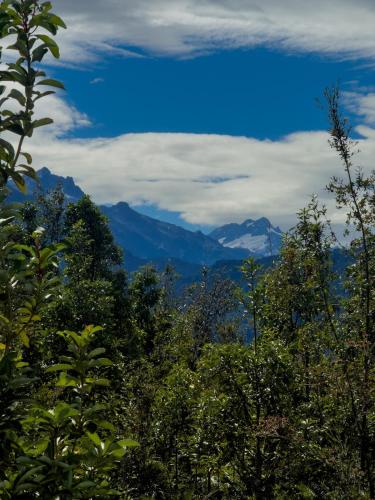 a view of the mountains through the trees at Refugio Volcán Hornopiren in Hornopiren