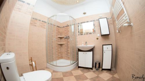 La salle de bains est pourvue de toilettes, d'un lavabo et d'une douche. dans l'établissement Apartamenty Sedinum - Modern, à Szczecin