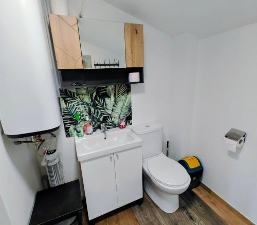a small bathroom with a toilet and a sink at Plate lyn atostogų būstas in Plateliai