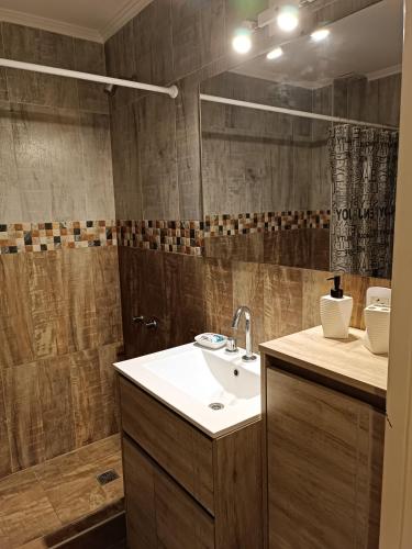 a bathroom with a sink and a shower at Melo 2203 Duplex 1 in Belén de Escobar