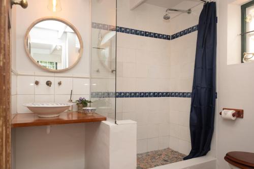 a bathroom with a shower and a sink at Finchlea Cottage in Stanford