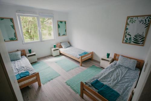 ein Zimmer mit zwei Betten und zwei Fenstern in der Unterkunft Vikendica Nik in Bogutovac