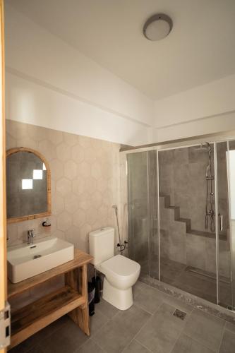 a bathroom with a toilet and a sink and a shower at Thyme Suite in Paránimfoi