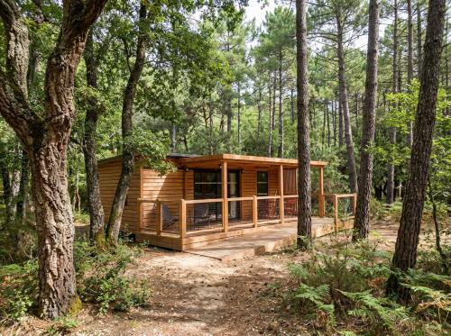 a log cabin in the woods with trees at La forêt PALOMA, Ecolodge in Léon
