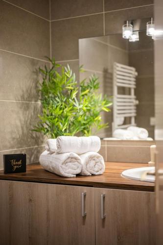 LE SUN Garavan Piscine collective toit terrasse Centre-Ville Clim