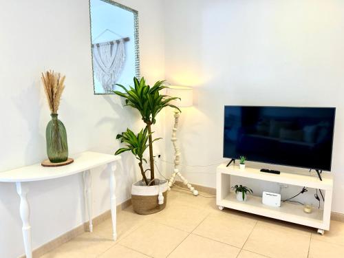 Palm trees studio - Las Américas
