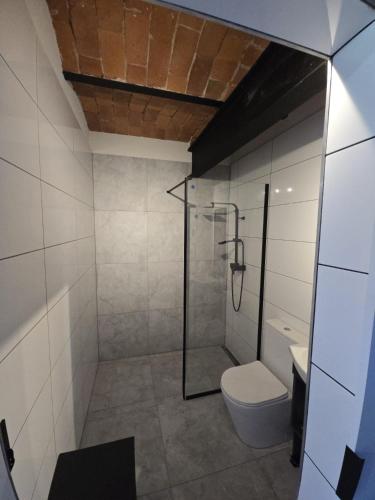 a bathroom with a shower and a toilet at Dom w Młodzianowie in Milicz