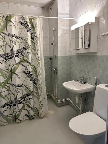 a bathroom with a shower curtain and a sink at Kätevä Koti Keskustassa in Ähtäri