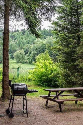 a barbecue grill sitting next to a picnic table at Leśna Sielanka domek z jacuzzi w lesie pod Górą Szczebel RELAX I SPORT in Lubień