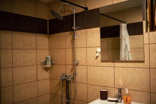 a bathroom with a shower and a sink at Cabana La Urși in Ceraşul