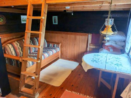 a room with a bunk bed and a ladder at Villa Tuomiranta in Porvoo