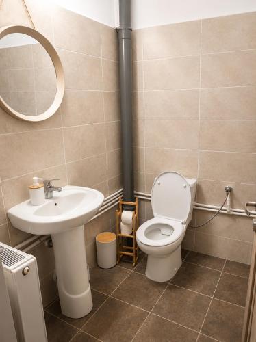 a bathroom with a sink and a toilet and a mirror at Cabana Tarța din Blidari 1 in Baia Mare