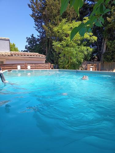 a person swimming in a large swimming pool at Chambre du petit figuier in Aramon