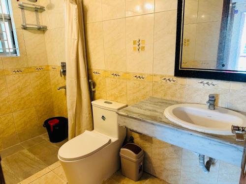 a bathroom with a toilet and a sink at Sea Shell Service Apartment in Bāiljuri