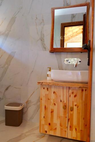 a bathroom with a sink and a mirror at Bujtinat e Delvinës in Delvinë