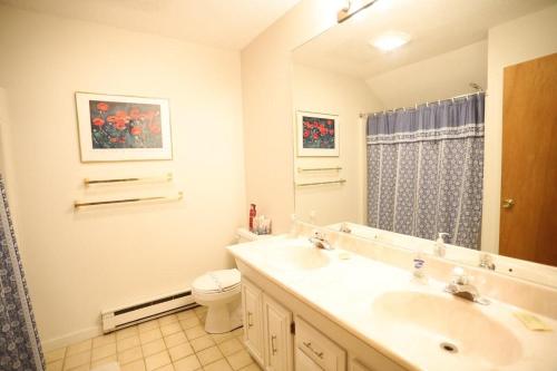 a bathroom with a sink and a toilet and a mirror at Sunnyside 6 in Condo Waterville Valley in Waterville Valley