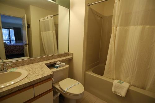 a bathroom with a toilet and a sink and a shower at Deer Park Condo 165D Vacation Rental near Loon Mountain in Woodstock