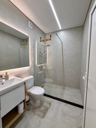 a bathroom with a shower and a toilet and a sink at Villa HOLM in Solotvyno