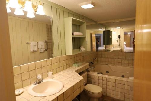 a bathroom with a sink and a toilet and a tub at Inns of Waterville Valley 105 One Bedroom Garden Level Unit at Inns of WV in Waterville Valley