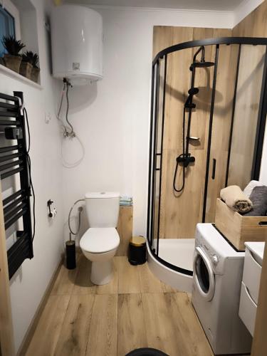 a bathroom with a shower and a toilet in it at Siedlisko Niwy in Łęki Szlacheckie