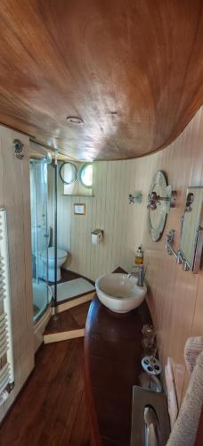 a bathroom with a sink and a toilet and a tub at Péniche ALEGRIA in Poilhès