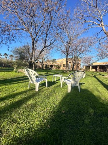 two white benches sitting in the grass in a park at Casa Casona Las Toscas in Miramar