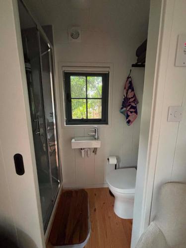 a small bathroom with a shower and a toilet at Shepherds Hut in Penzance in Newlyn