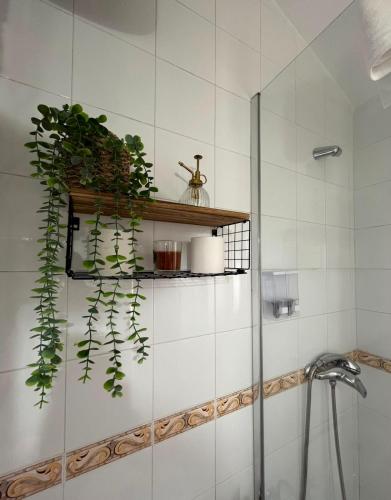 a bathroom with a shower with plants on a shelf at Aldeana Rural in El Cubillo