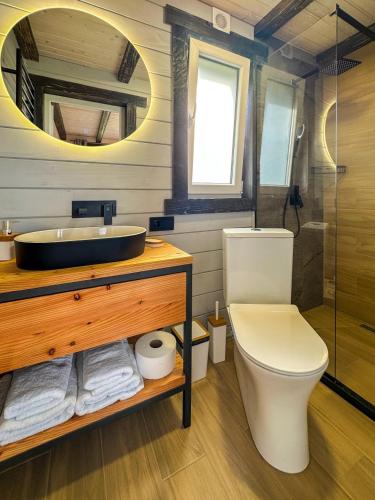 a bathroom with a sink and a toilet and a mirror at Будиночки Ґалєрія in Vaydry