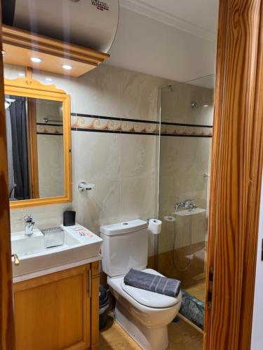 a bathroom with a toilet and a sink and a shower at Almeta Apartments Port in Chios