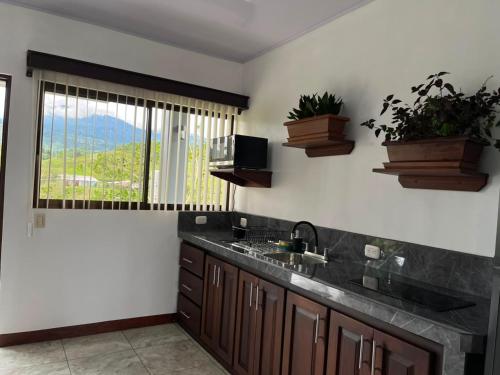 a kitchen with a sink and a window with plants at Paradise Experience Costa Rica in Pueblo Nuevo