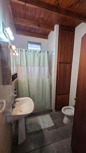 a bathroom with a sink and a shower and a toilet at Casa Verde 3 in Carhué