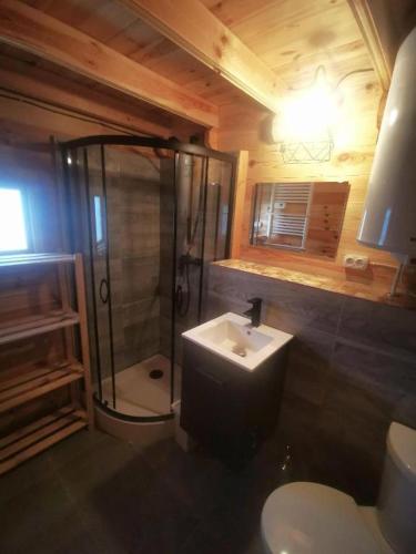 a bathroom with a shower and a toilet and a sink at Sea You Soon w Sztutowie in Sztutowo