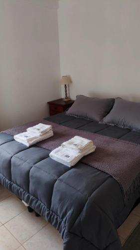 two beds sitting next to each other in a room at Jujuy Centro 2 in San Salvador de Jujuy