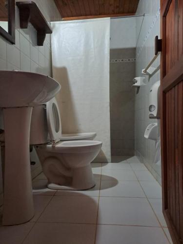 a bathroom with a toilet and a sink at Las Cabañas in Santo Tomé