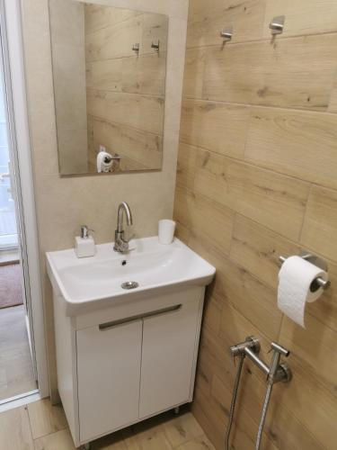a bathroom with a white sink and a mirror at Happy Home2 in Cahul