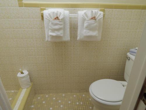 a bathroom with a toilet and towels on the wall at Parmer's Resort in Little Torch Key