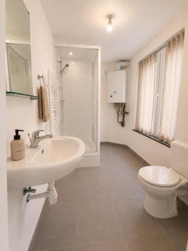 a white bathroom with a sink and a toilet at Maison de Florence in Brussels