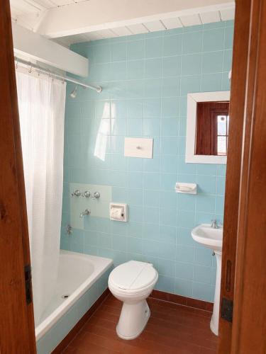 a blue bathroom with a toilet and a sink at Olly Patagonia Suites in San Carlos de Bariloche