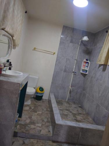 a bathroom with a shower with a toilet and a sink at Casa HerShei in Orange Walk