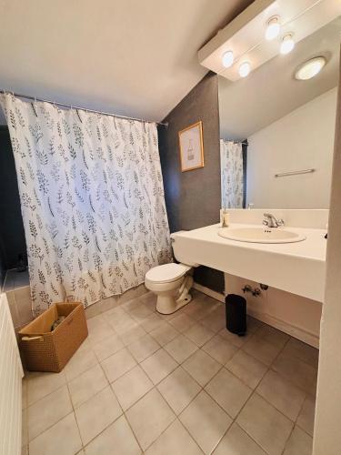 a bathroom with a sink and a toilet at Loft Ski el Colorado in Santiago