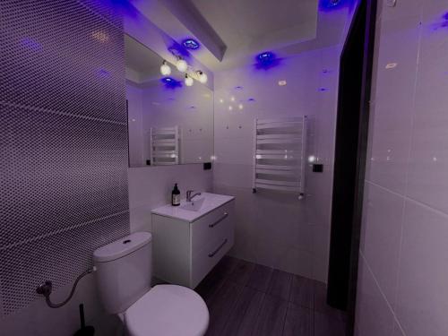 a white bathroom with a toilet and a sink at Agroturystyka Ostoja Wilków I in Wilków