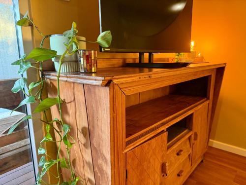 a television on top of a wooden stand with a plant at Warm, private, poolside retreat in Cable Beach