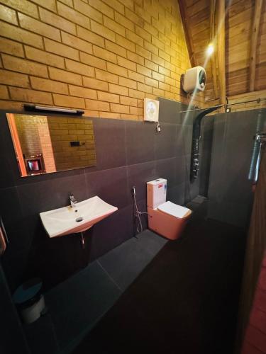 a bathroom with a sink and a toilet at Deduru Oya Cinnamon Gardens in Barandara