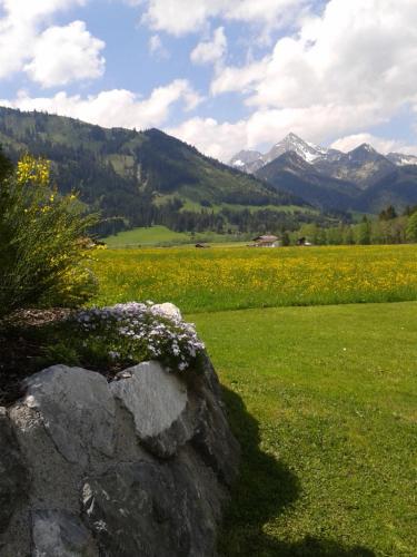 a field of flowers with mountains in the background at Am Schwand in Grän